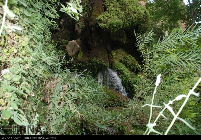 آبشار گرگون پاتاوه